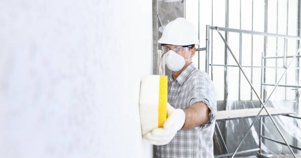 Professional Mold Removal Services in Lake Sarasota, FL