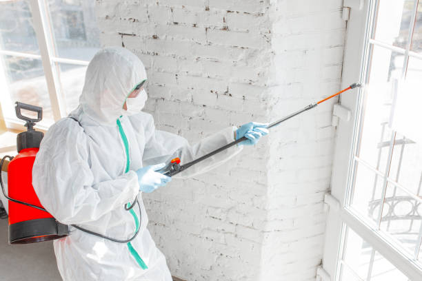 Why You Should Choose Our Mold Remediation Services in Lake Sarasota, FL